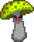 Yellow-toadstool.png